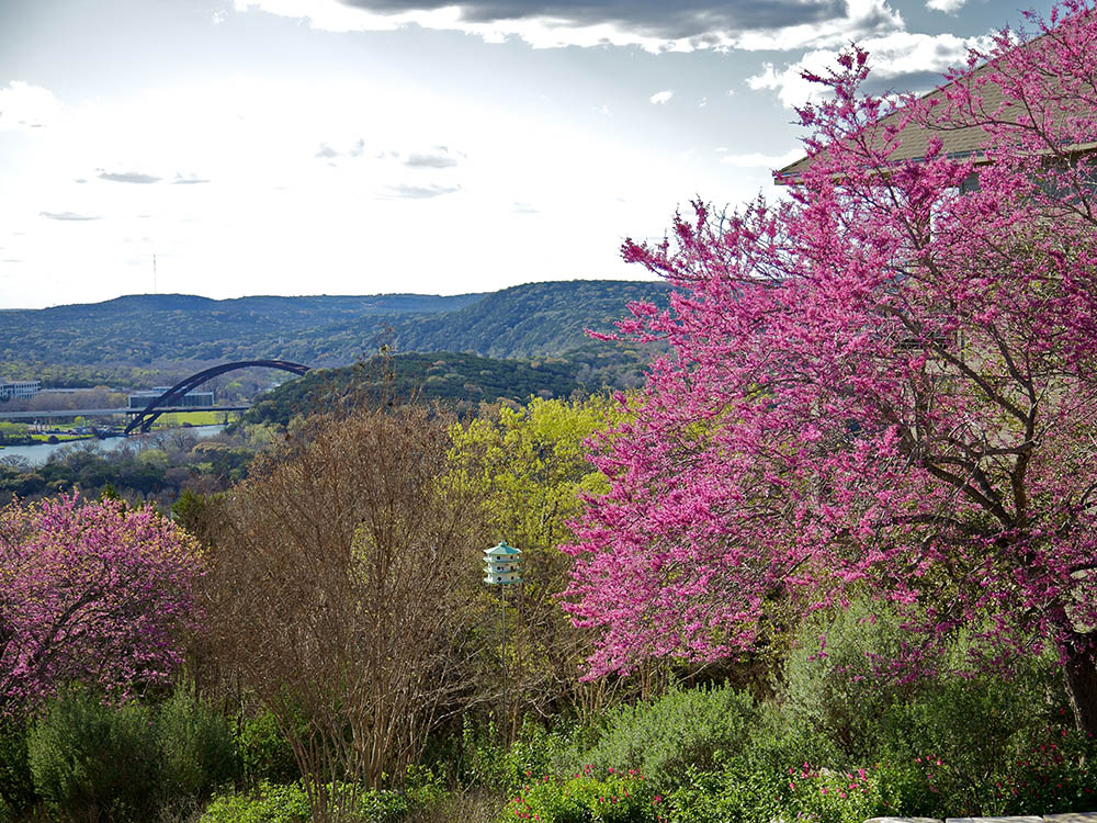 Northwest Austin